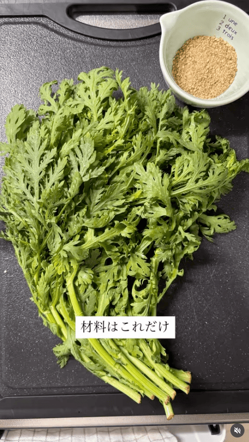 材料